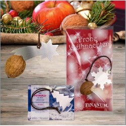 Casse-noix - cristal de glace dans un sac de violoncelle