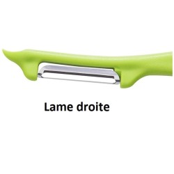 Econome standard droit