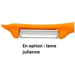 Econome standard droit