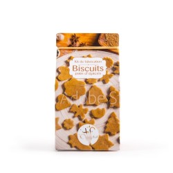 Mini-coffret gastronomie biscuits de noël version quadri