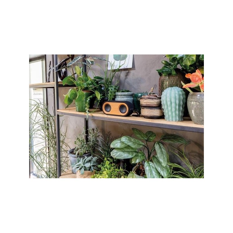 Double enceinte 10w bambou