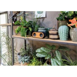 Double enceinte 10w bambou