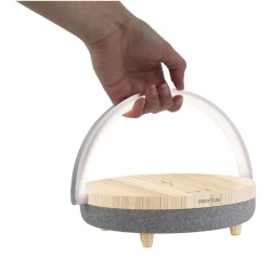 Éclairage de haut-parleur 4-en-1 Prixton avec base de charge sans fil