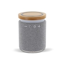 Bamboo wireless speaker