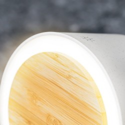 Lampe Multifonction édition limitée