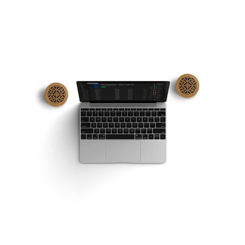 Set de 2 enceintes WOODSTOCK