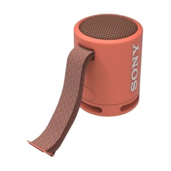 Enceinte Bluetooth Sony XB13