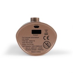 Fer à boucler automatique