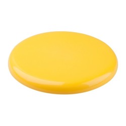Frisbee basique 23cm