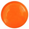 Frisbee classique 22cm