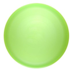 Frisbee classique 22cm