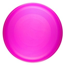 Frisbee classique 22cm