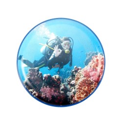 Frisbee classique 22cm