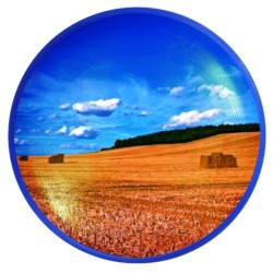 Frisbee XL 26cm