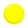 Frisbee classique 21cm