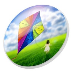 Frisbee classique 21cm