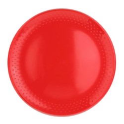Frisbee