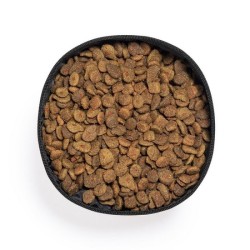 Bol pliable pour animaux