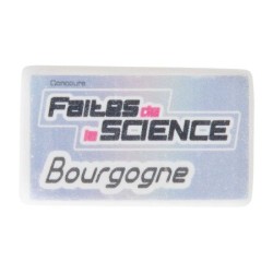 GOMME RECTANGULAIRE PM