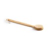Brosse de douche