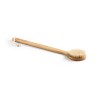 Brosse de douche