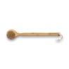 Brosse de douche
