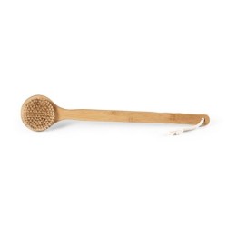 Brosse de douche