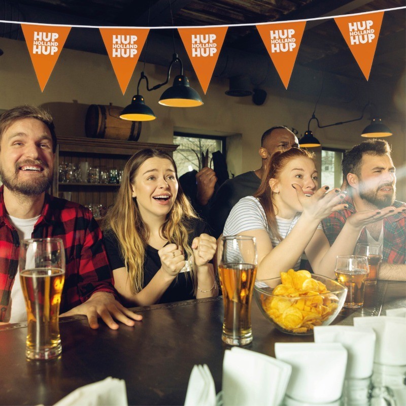 Guirlande de fanions 15x21cm