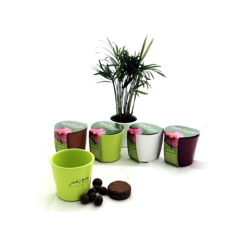 Kit de plantation céramique