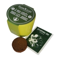 Kit de plantation céramique