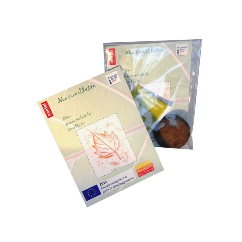 Fiche herbier ludique