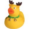 Canard hiver - MBW