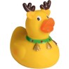 Canard hiver - MBW