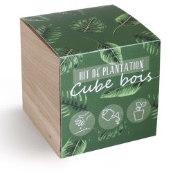 Cube bois graines