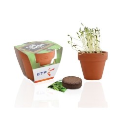Set de plantation - pot en terre cuite 8cm