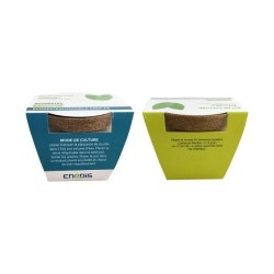 Kit de plantation 6cm fourreau personnalisé