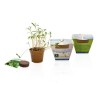 Kit de plantation 6cm fourreau personnalisé
