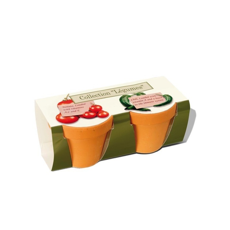 Set de plantation - pot en terre cuite 6cm