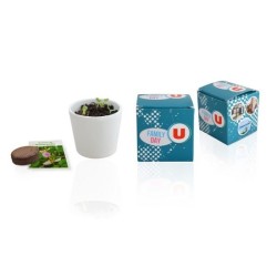 Cube de plantation 7cm