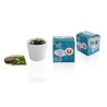 Cube de plantation 7cm
