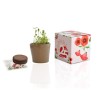 Cube de plantation 7cm