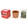 Cube de plantation 7cm