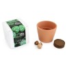 Cube de plantation 7cm