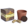 Cube de plantation 7cm