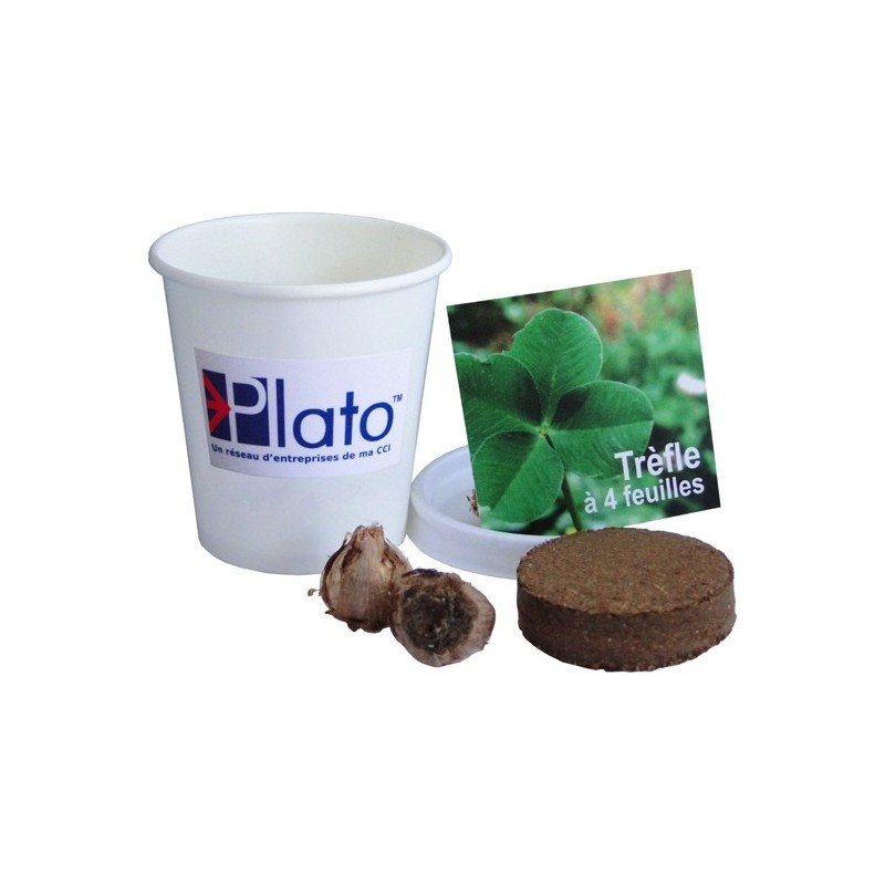 Kit plantation pot carton