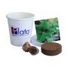 Kit plantation pot carton