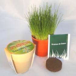 Kit de plantation pot bambou biodégradable