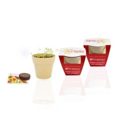 Kit de plantation pot bambou biodégradable