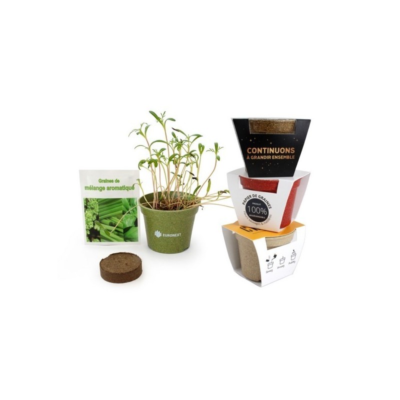 Kit de plantation coloré