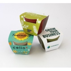 Kit de plantation coloré